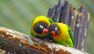 Herald morning quiz: April 19 - New Zealand News