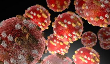 Wellington measles case possibly infected at Warbirds Over Wānaka or Ultra music festival