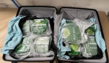 Auckland Airport meth bust: 16 arrested over New Zealand teen drug courier scheme