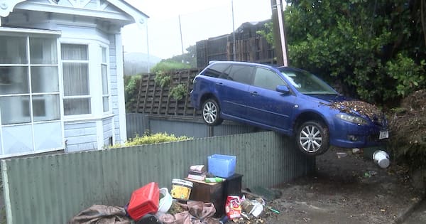 Wellington car on fence after flood like 'a surreal artwork'