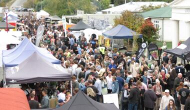 Harvest festival promises wine, food, entertainment