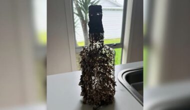 Message in a bottle dated from 2002 washes ashore in Tairua