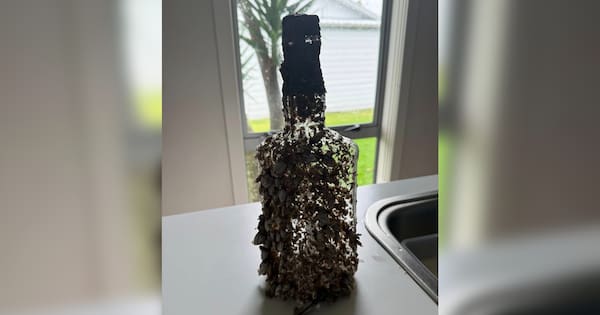 Message in a bottle dated from 2002 washes ashore in Tairua