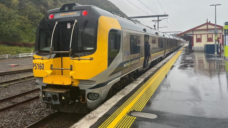 One commuter said missing the train meant facing the Ngauranga Gorge.