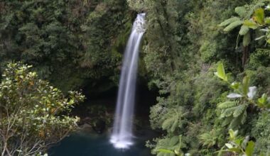 Name restored to Tauranga waterfall reserve