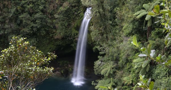 Name restored to Tauranga waterfall reserve