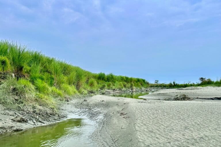 A sandbar in Dibru Saikhowa National Park, which is a low-lying floodplain. Image by Imon Abedin.