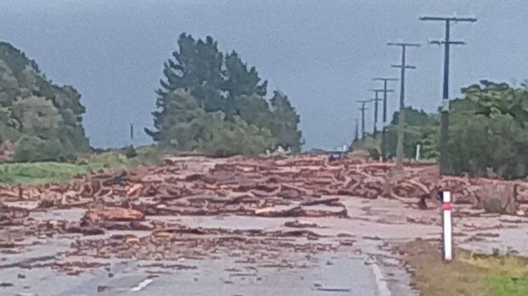 A slip blocks part of State Highway 67 near Birchfield.