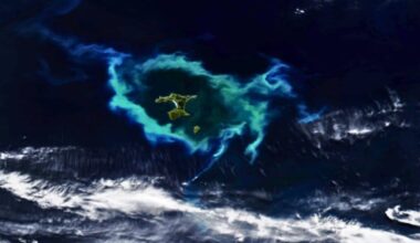 A Strange Halo Bloomed Across The Pacific