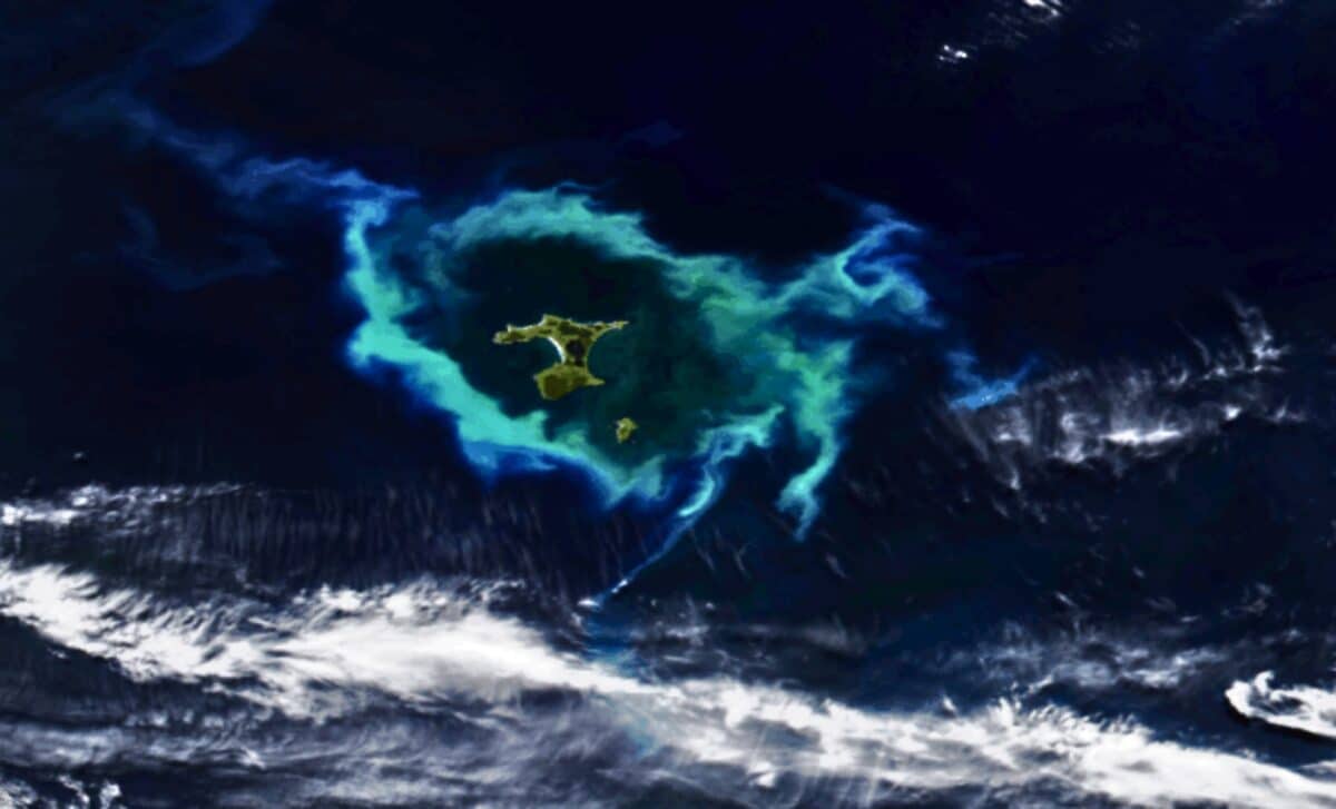 A Strange Halo Bloomed Across The Pacific