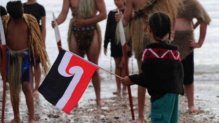 A tamaiti holds a tino rangatiratanga flag during Waitangi celebrations.