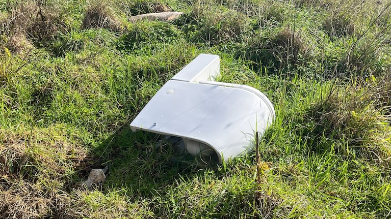 A toilet dumped in a field in Auckland's Flat Bush.