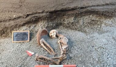 AI reconstructs face of man killed in Pompeii volcanic eruption