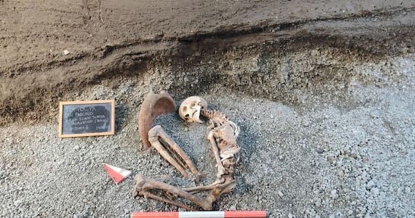 AI reconstructs face of man killed in Pompeii volcanic eruption