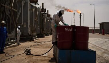 Why stopgap measures will fail to curb fuel price rises