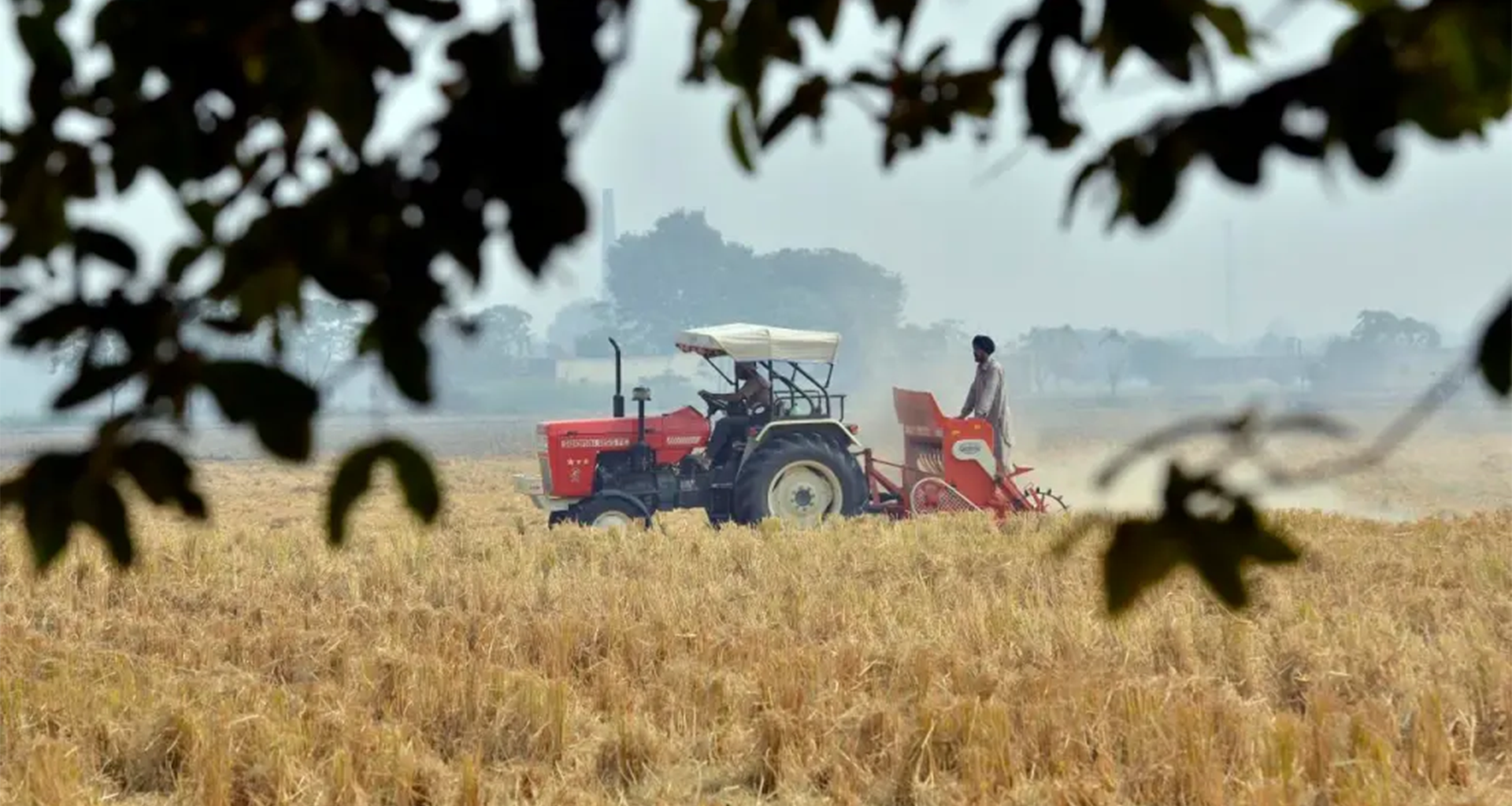 India’s farmers under pressure as Hormuz crisis disrupts fertilizer supplies