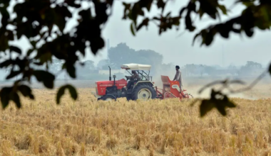 India’s farmers under pressure as Hormuz crisis disrupts fertilizer supplies