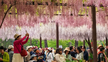 China to invest 1 billion yuan to subsidize tourist trips - news.cgtn.com
