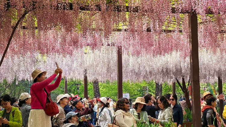 China to invest 1 billion yuan to subsidize tourist trips - news.cgtn.com