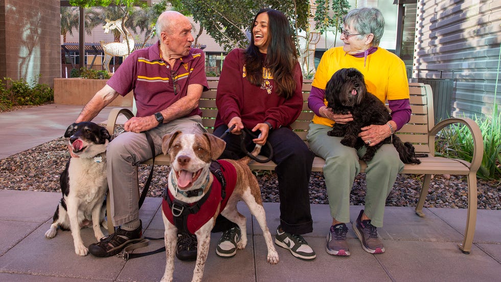 Group of people sitting on a bench with dogs in a garden setting.
