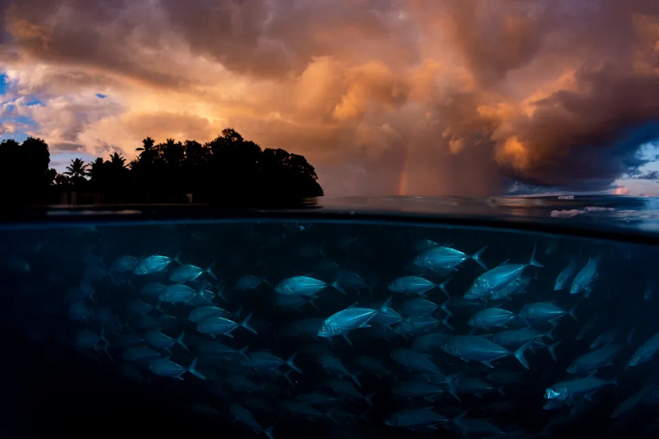A split-level shot captures a school of bigeye trevally gliding through clear blue water below the surface while above, a dramatic stormy sunset sky 