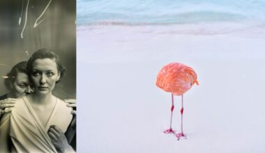 On the left, a black-and-white vintage portrait features two women, one standing behind the other. On the right, a headless flamingo stands on white sand near gentle blue ocean waves.