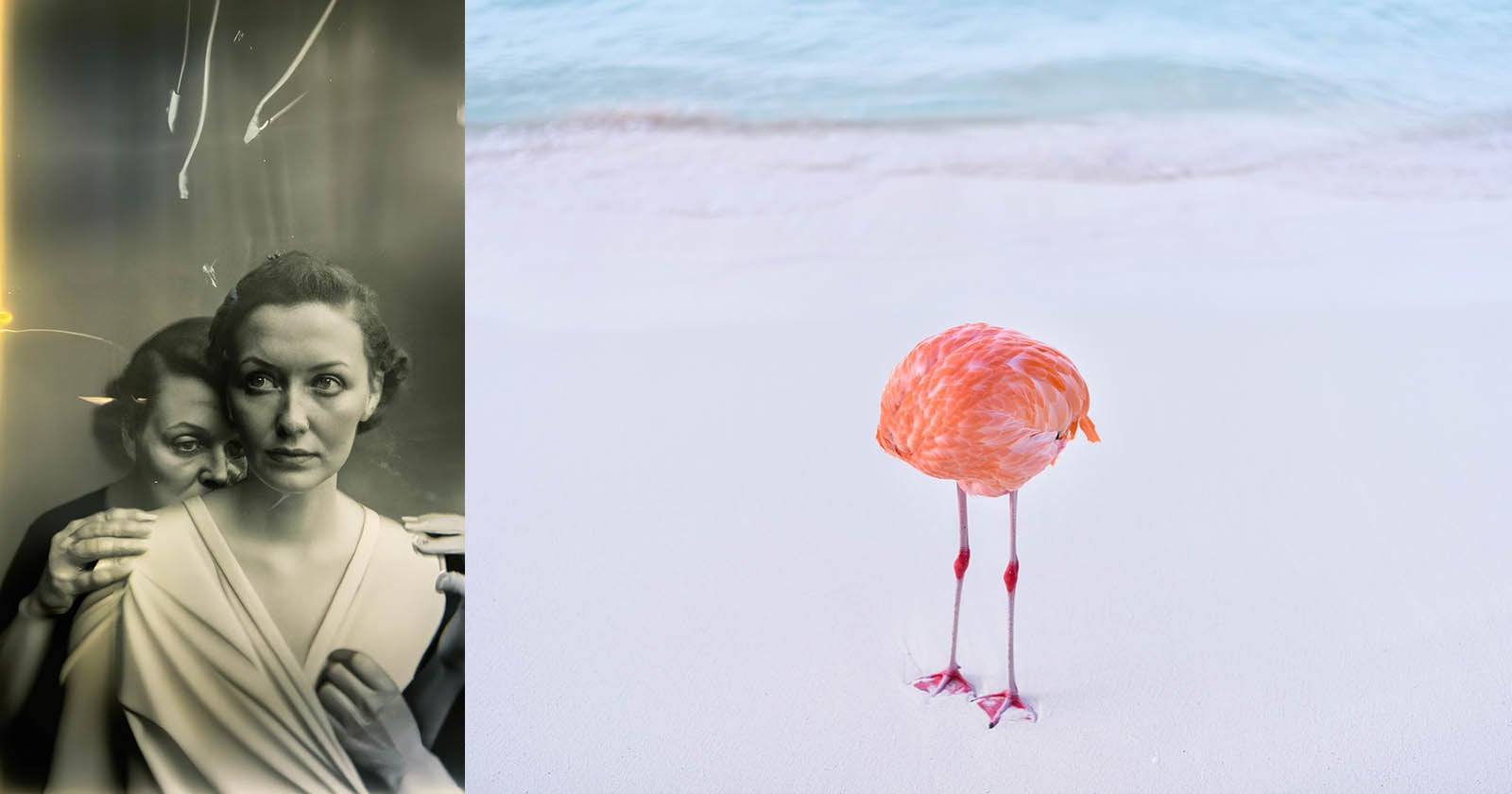 On the left, a black-and-white vintage portrait features two women, one standing behind the other. On the right, a headless flamingo stands on white sand near gentle blue ocean waves.