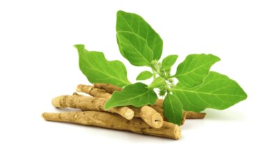 Doctor Explains How Ashwagandha May Reduce Belly Fat Linked To Stress