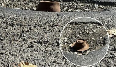 The Gisborne road with 'hundreds' of crater-sized potholes