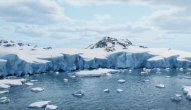 Arctic sea ice