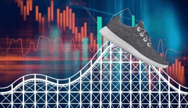 Allbirds loses its wings: how the $6 billion footwear dream fell apart