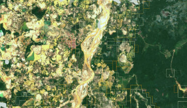 A search engine for the planet opens to the public