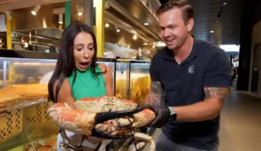 Aussie reporter pinched by crab live on air