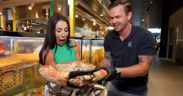 Aussie reporter pinched by crab live on air