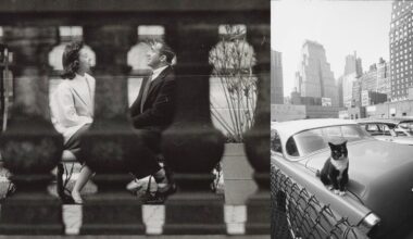 A black-and-white photo collage: on the left, a man and woman sit and talk behind a blurred railing; on the right, a cat sits on a vintage car’s hood in a city parking lot with tall buildings in the background.