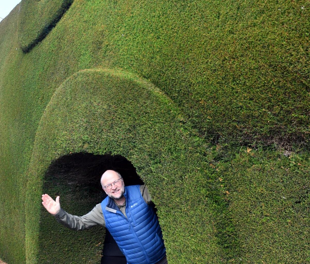 'Deadliest hedge' inspires new guidebook