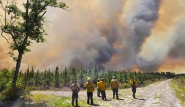 Worst spring drought on record grips US, fueling wildfires and water worries