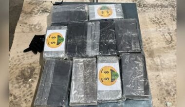 Nearly $17m of cocaine found in lining of container at Tauranga