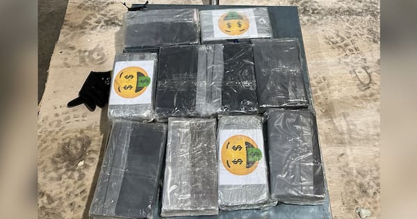 Nearly $17m of cocaine found in lining of container at Tauranga