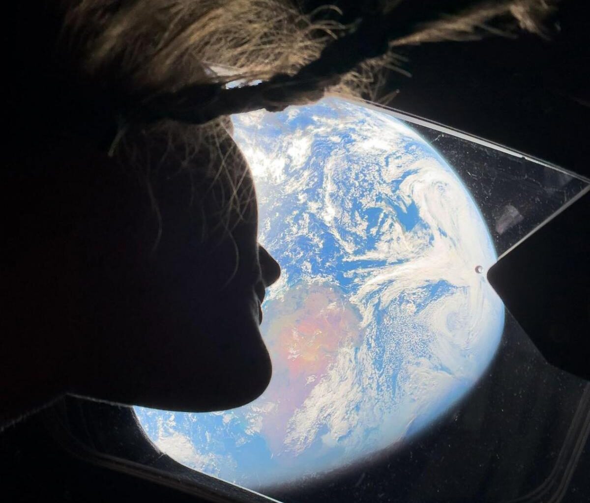 New Zealand visible in photo from NASA's Artemis mission