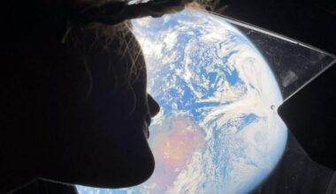 New Zealand visible in photo from NASA's Artemis mission