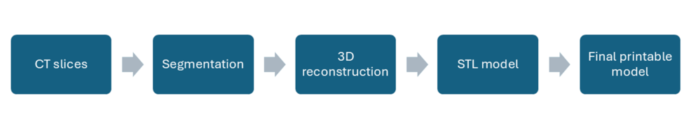 Anatomically Accurate 3D-Printed Thoracic Model With Artificial Skin for Chest Drainage Training