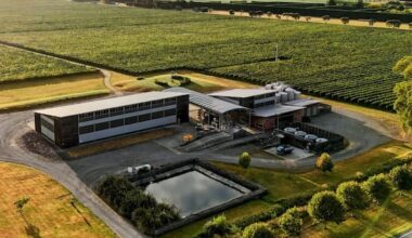 Matahiwi 'vineyard will have to close if I have no water'