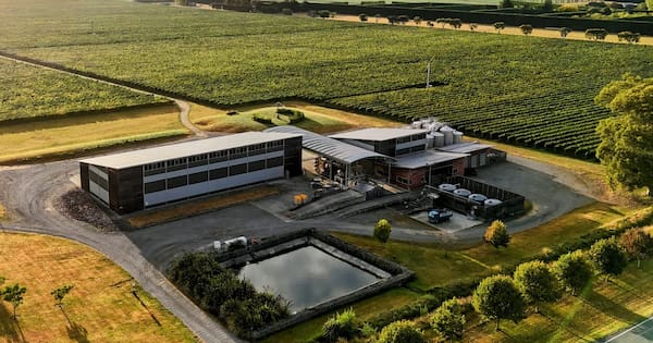 Matahiwi 'vineyard will have to close if I have no water'
