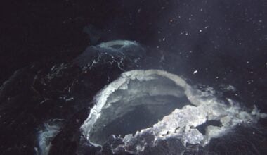 'Doomsday' Asteroids Could Have Kickstarted Life on Our Planet