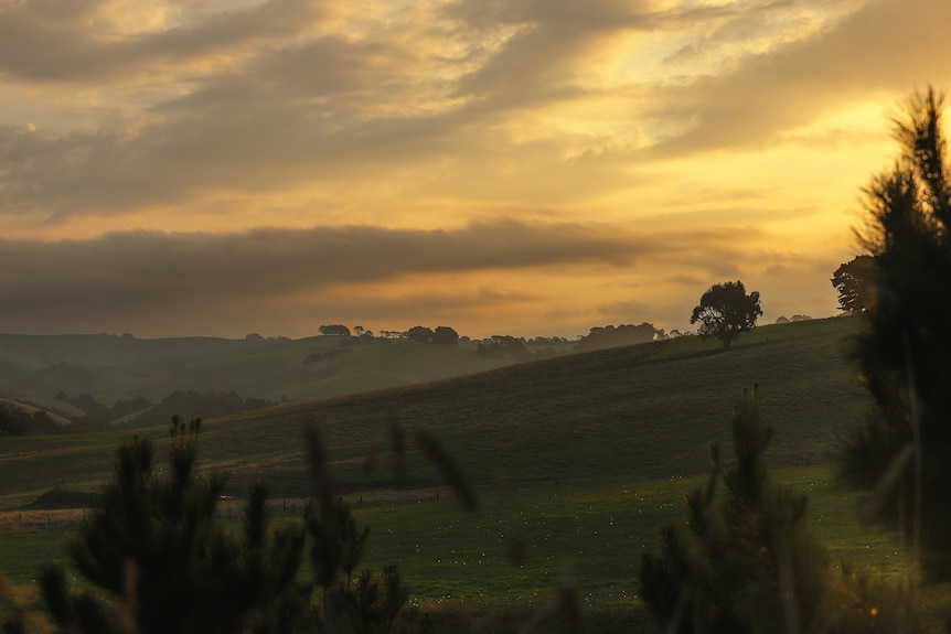 Light streams through clouds as a setting sun sits above the tree line with green fields in the foreground.