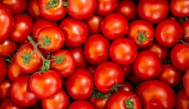 Fresh tomato prices have skyrocketed. Here's why