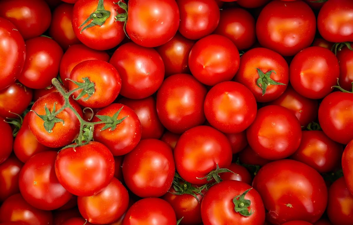 Fresh tomato prices have skyrocketed. Here's why