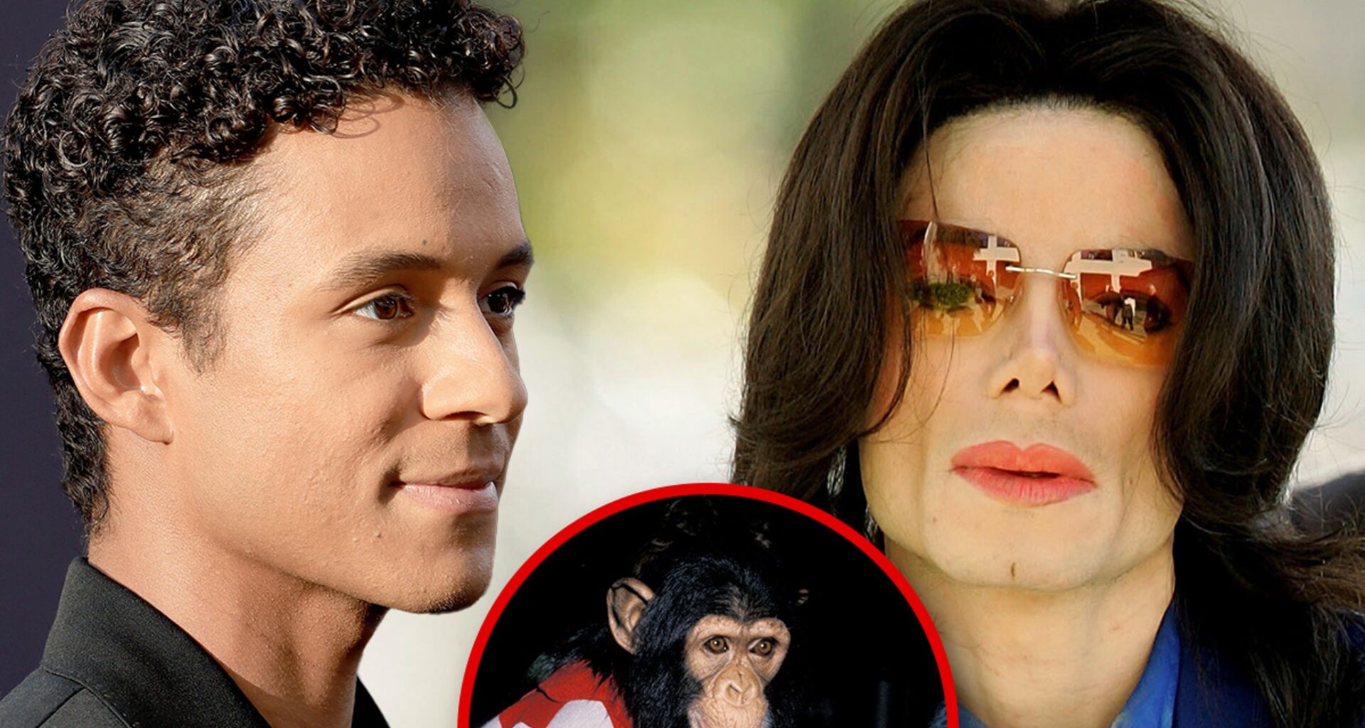 Michael Jackson's Chimp Bubbles Was Not Visited by Jaafar, Online Pics Are Fake