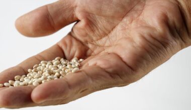 'Cholesterol-lowering' grain backed by nutritionist could cut bad lipids by up to 15% within weeks